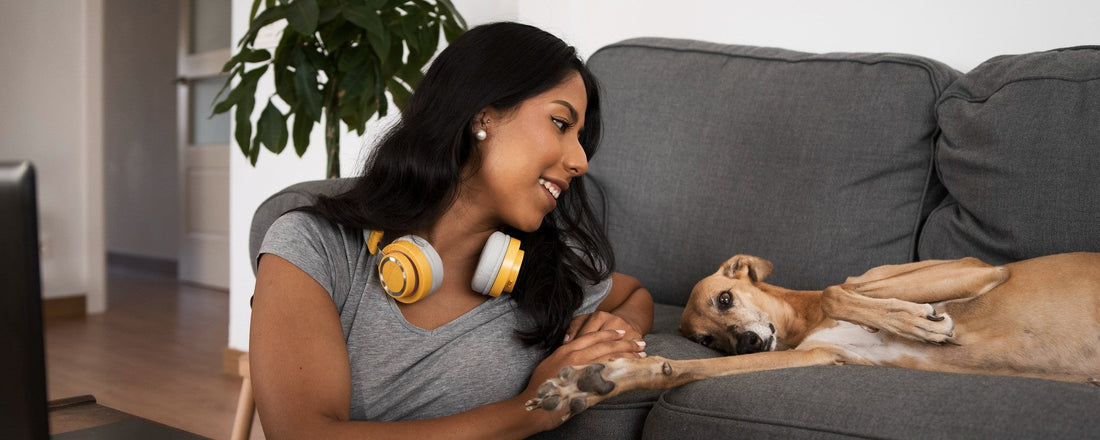 How to Reduce Pet Anxiety at Home (Simple Fixes That Actually Work)