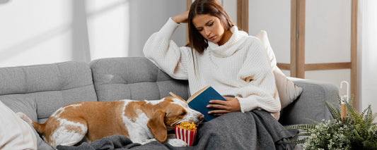 7 Everyday Things That Could Be Stressing Your Pet (Without You Realizing)