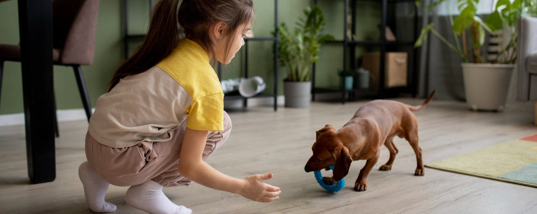 Why Your Pet Ignores Their Toys (And What to Do About It)
