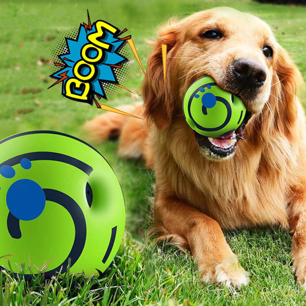 Play & Enrichment