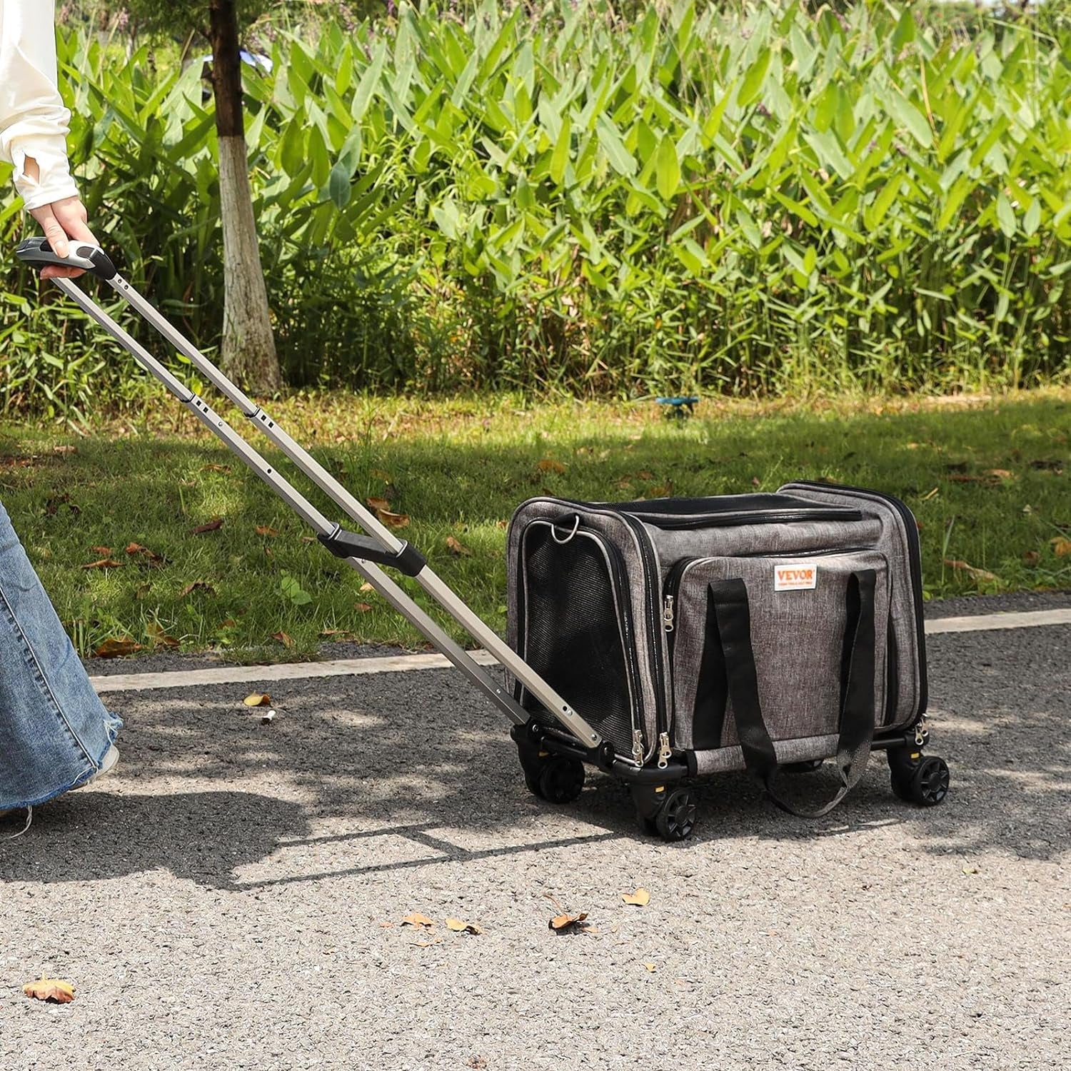 Travel & Carriers