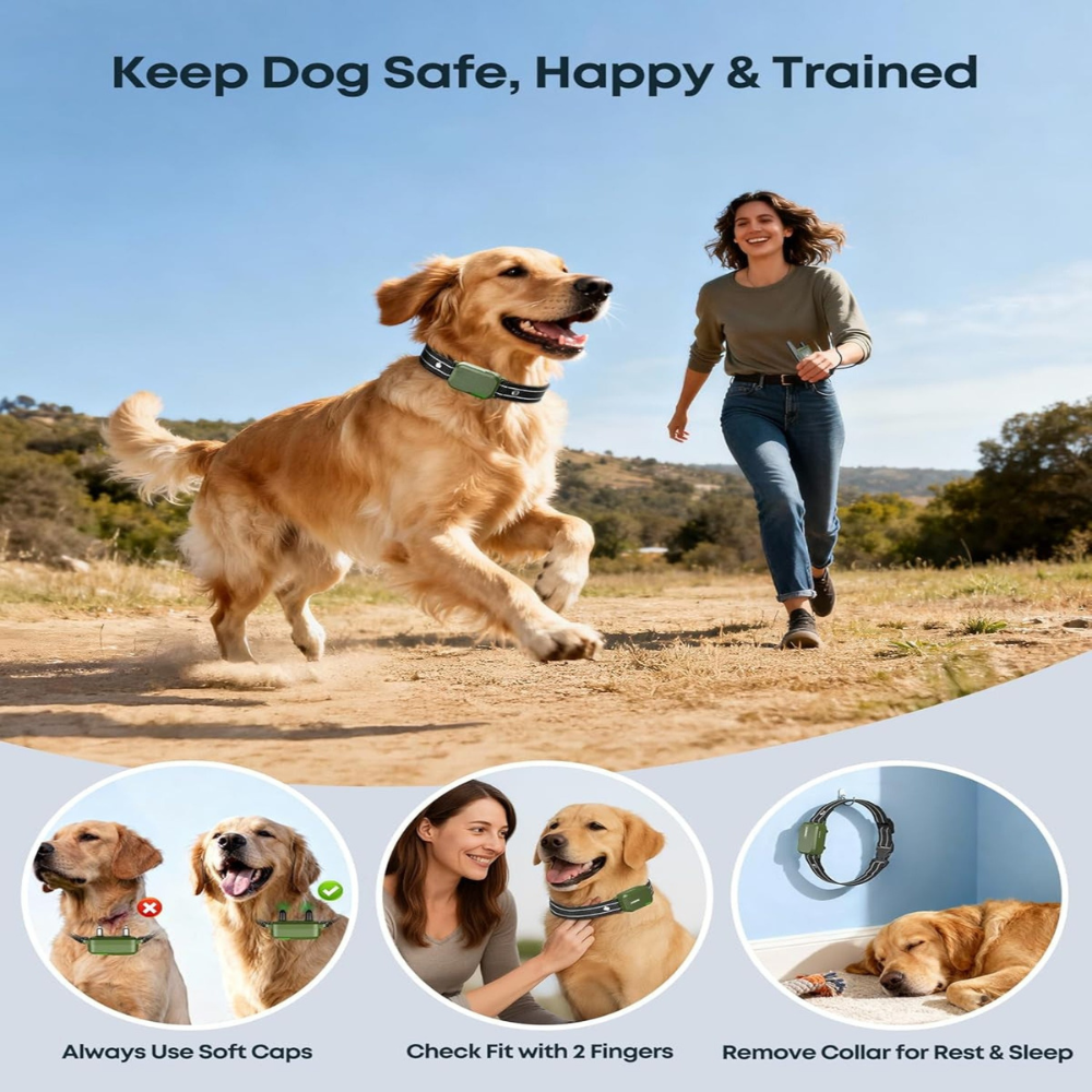 IPX8 Waterproof Dog Training Collar