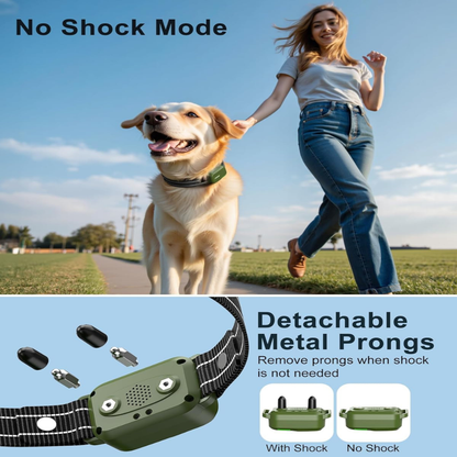 IPX8 Waterproof Dog Training Collar