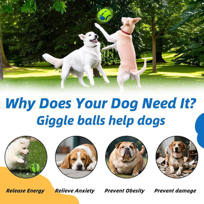 Dog Toys Ball, Interactive Dog Ball, Shaking with Gibbering Sound, for Training & Herding, M, 3.46 in (8.8 Cm)