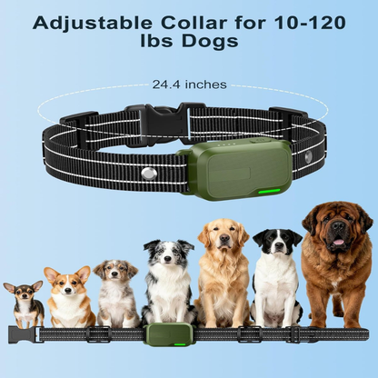 IPX8 Waterproof Dog Training Collar