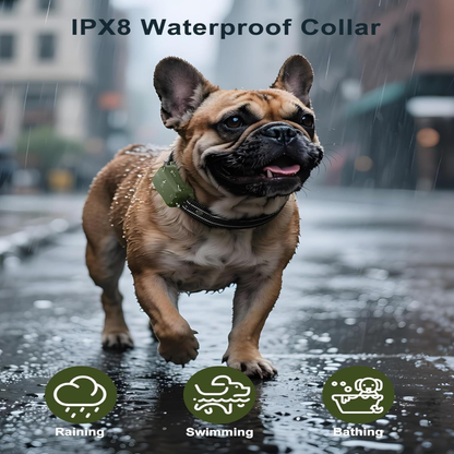 IPX8 Waterproof Dog Training Collar
